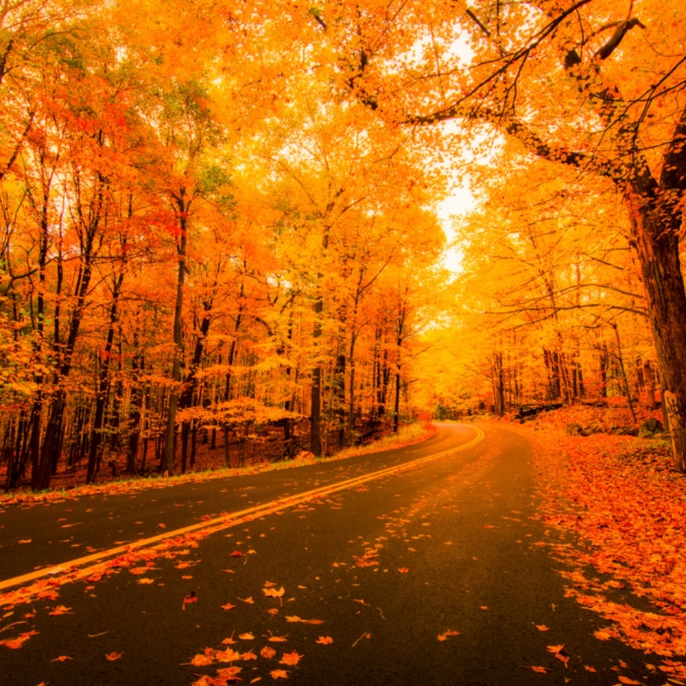 Meet your Posher, Joe